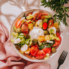 Fresh mediterranean salad with tomatoes and burrata cheese, top view