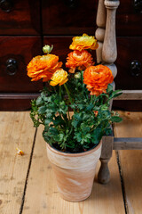 Home decorations with flowers. Wooden interior.