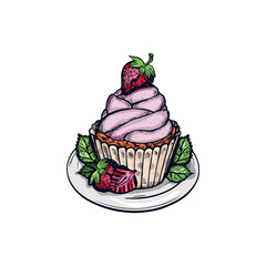 strawberry cupcake on plate vector sketch. strawberry cupcake vector coloring book doodles