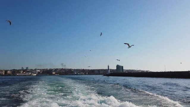 Kadikoy veiw from a ferry. Seagulls and ferry tour in the Kadikoy Bay in Istanbul. Travel to Istanbul background 4k video.