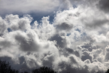 Obraz premium sky with clouds