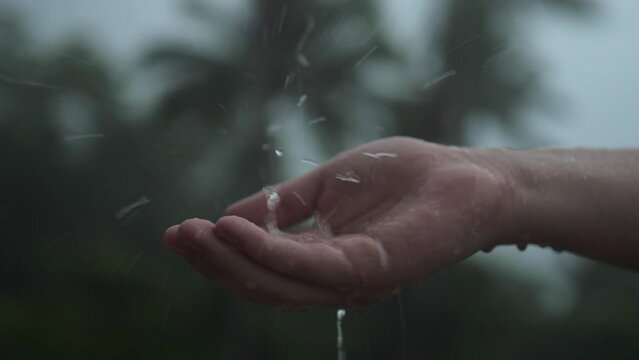 Rain water drop to the hand man with green nature on background, environment recovery