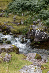 stream in the mountains