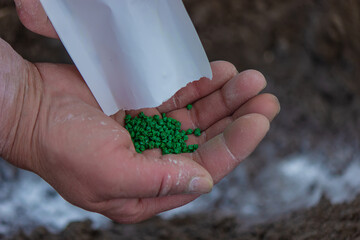 Young peasant woman planting seeds of carrots, radishes and beets in a warm black earth. Warm...