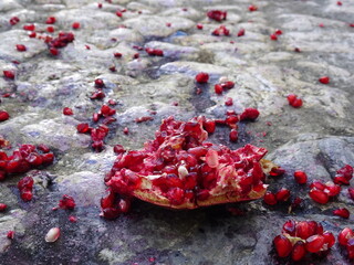 [Spain] Crushed pomegranate fruit that fell to the ground (Frigiliana)