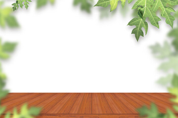 Green papaya leaves on a white background