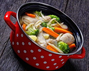chicken vegetable soup with pasta in red pot