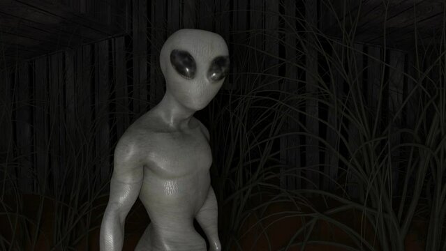 alien turn look in barn