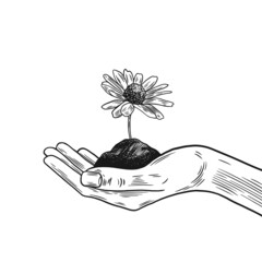 Human hand holding a blooming flower. Hand drawn illustration isolated on white background. Vector