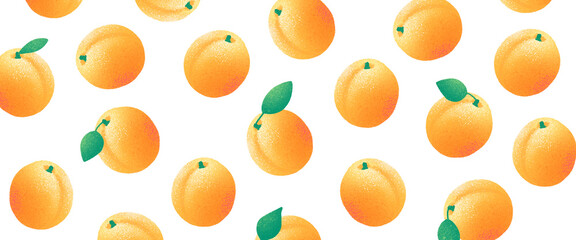 Horizontal, artistic, colorful, apricots, fruit banner illustration.