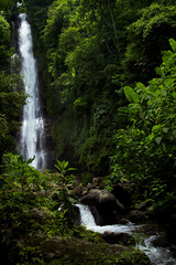 Tropical sunny landscape - fresh summer high waterfall in jungle with lush green foliage, rainforest, wet moss, stream of purity water in sunlight with bright splashes, vertical. Tourism on Bali.