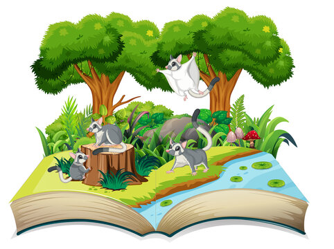 Nature scene with many trees and sugar gliders