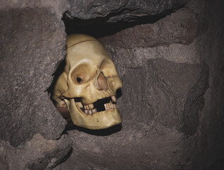 Horror background. Human skull in the middle of the dark stones.