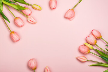 Pink tulips background