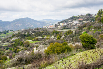 Traditional Cyprus landscape with vine field, mountains and village on hillside