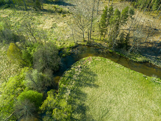 Aerial view of river valley in beautiful spring light, Czech republic, Europe. Meanders of Ploucnice river. River twists like a snake. Swirling river
