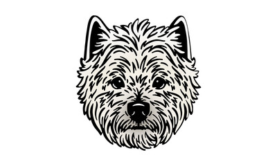 West Highland White Terrier on light background. Color vector illustration of a dog. Portrait isolated.