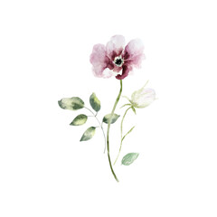 Naklejka na ściany i meble Background with watercolor flowers,floral illustration. Botanic composition for wedding or greeting card.For Mother's Day, wedding, birthday, Easter, Valentine's Day.