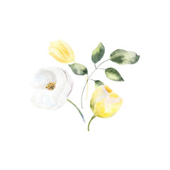 Background with watercolor flowers,floral illustration. Botanic composition for wedding or greeting card.For Mother's Day, wedding, birthday, Easter, Valentine's Day.