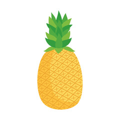 fresh pineapple fruit