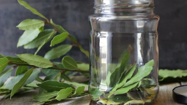 Laurel liqueur and lemon peels. Woman puts bay leaves in the glass jar
