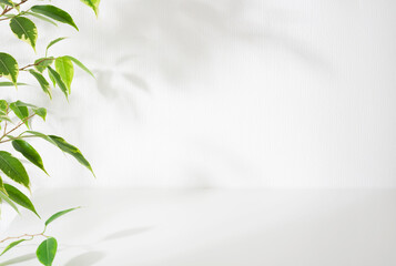 Empty table top and olive leaves on white wall background