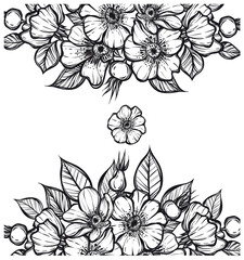 Vector illustration. Rosehip flowers, card for you, line art style, Handmade