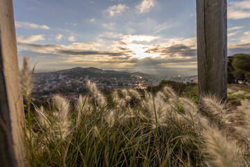 Picturesque landscape of Barcelona from the hill in the early morning. Grass in the foreground. Sunbeams through the clouds. Dramatic sky over the city. Autumn in Barcelona, Spain.