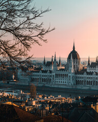 The parlament of budapest during sunrise with a tree in foreground
