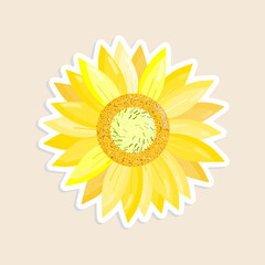 sunflower  blossom flat vector illustration