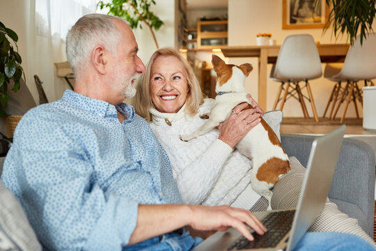 Retired senior couple with dog at laptop