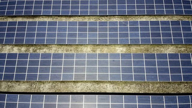 太陽光　ソーラーパネル　再生エネルギー　脱炭素