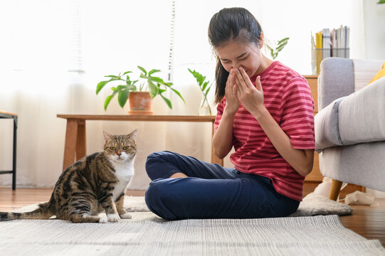 Young Asian woman sneezing which suffering from first symptoms of cat's fur allergy. Cute cat and allergic girl. Animal allergy people health illness concept.