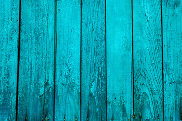 Fototapeta na wymiar Close up of scratched turquoisewooden texture of a fence. Blue or green wooden planks