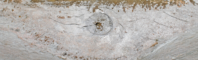wood texture, abstract texture background