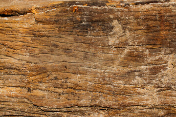 wood texture, abstract texture background
