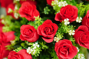 rose background that was created to replace natural roses