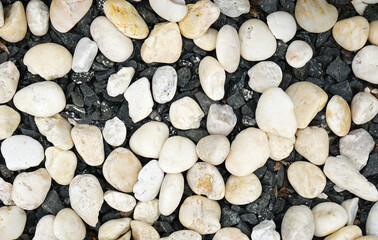 Black and white stones decorate the garden.