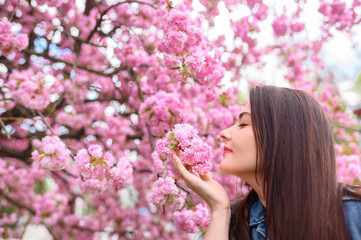 Fototapeta premium Young beautiful girl in a blue denim jacket sniffs the color of pink blossoming sakura. High quality photo
