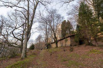 stone cabin in a beech forest in the mountains of the basque country