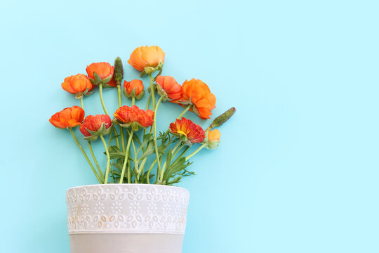 Top view image of yellow flowers composition over blue pastel background