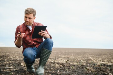 A farmer in boots works with his tablet in a field sown in spring. An agronomist walks the earth,...