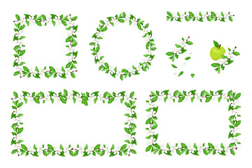 Set of frames with white blossoms and veaves