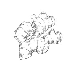 Hand drawn vector condiment flavour image template