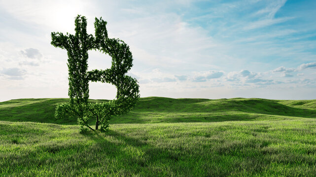 Baum in Form von Bitcoin Symbol auf Wiese als Konzept