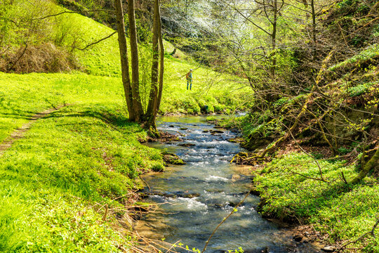 Wandern durch den Fr&uuml;hling im Hasenbachtal