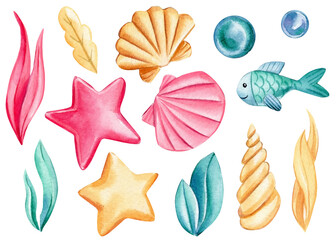 Seashells, bubbles, starfish on an isolated white background. Watercolor drawing