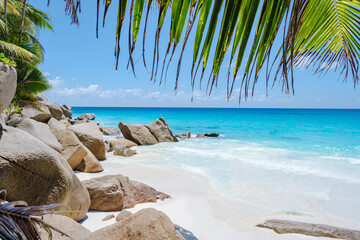 Praslin Seychelles tropical island with withe beaches and palm trees, Anse Lazio beach,Palm tree stands over deserted tropical island dream beach in Anse Lazio, Seychelles. 