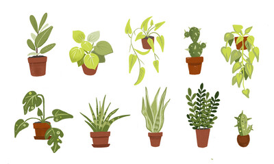 
Hand drawn illustration of house green plants in flower pots. Set of floral elements isolated on white. Decorative greenery collection. Home plants potted. 