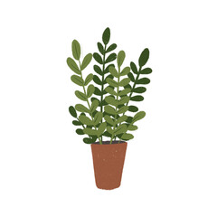 Zamiokulkas in a flower pot. Hand drawn illustration of home green plant.